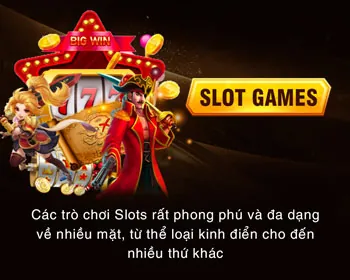 Hoàn trả VIP hi8802